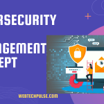 cybersecurity risk management concept